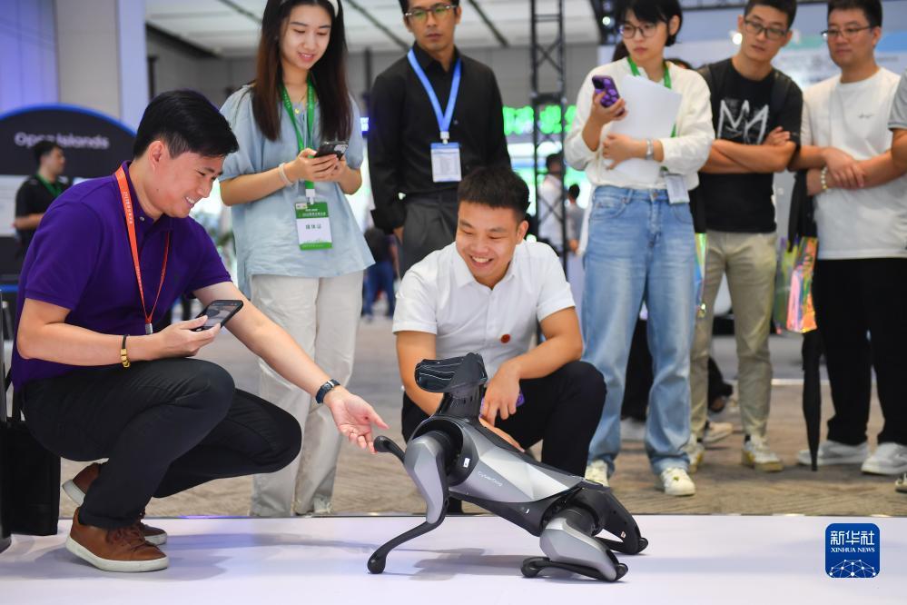 百家什乐鲨鱼分析软件